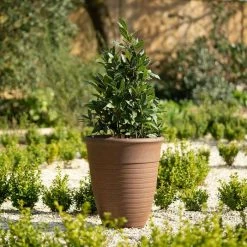 49cm Tall Round Planter In Rust 10 49cm Tall Round Planter In Rust -Plants outlet store PP88RSTL PP88RSTM 2361