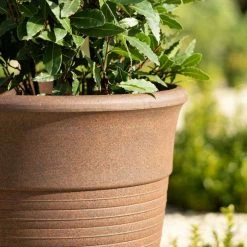 57cm Tall Round Planter In Rust -Plants outlet store PP88RSTL PP88RSTM 2 27a9