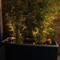 Set Of Seven Solar Powered LED Planter Stake Lights 8 Set Of Seven Solar Powered LED Planter Stake Lights -Plants outlet store PP9032 add image 1 7c68