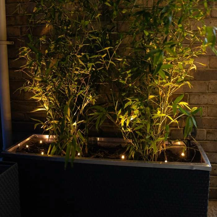 Set Of Seven Solar Powered LED Planter Stake Lights 4 Set Of Seven Solar Powered LED Planter Stake Lights - Image 2