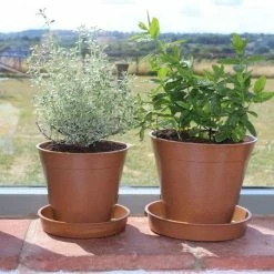 Pack Of 5 Compostable Bamboo Plant Pots (Terracotta)