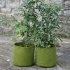Pack Of 3 Fabric Pots (10 Litre)