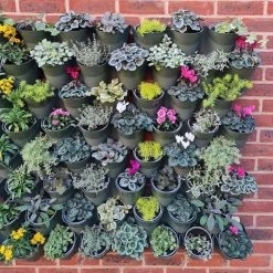 Living Wall Vertical Planting Kit
