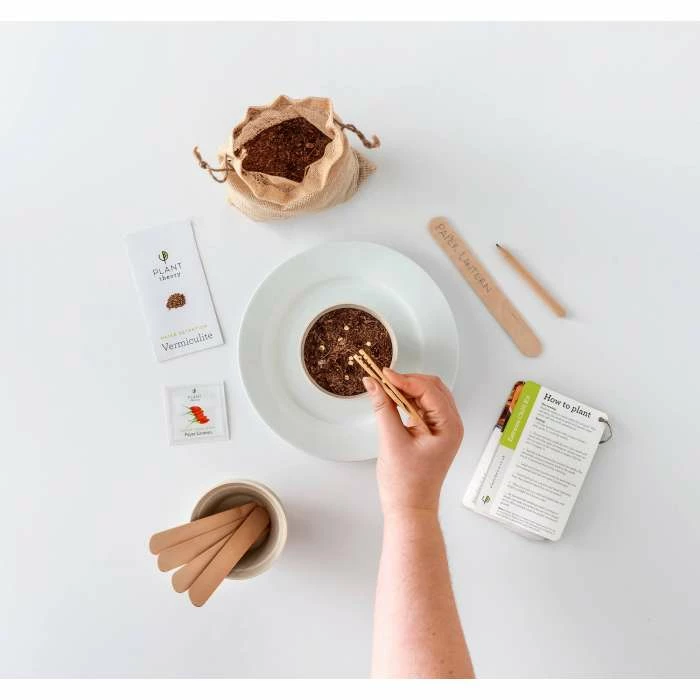 Grow Your Own Dynamic Duo Kit | By Plant Theory 6 Grow Your Own Dynamic Duo Kit | By Plant Theory - Image 4