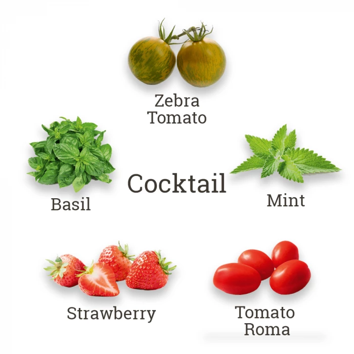 Grow Your Own Gardener's Dream Collection Gift Set | By Plant Theory 12 Grow Your Own Gardener's Dream Collection Gift Set | By Plant Theory - Image 10