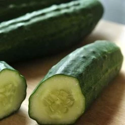 Cucumber Hana F1 | 8.5cm Pot