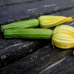 Courgette Romanesco | Approx 45 Seeds