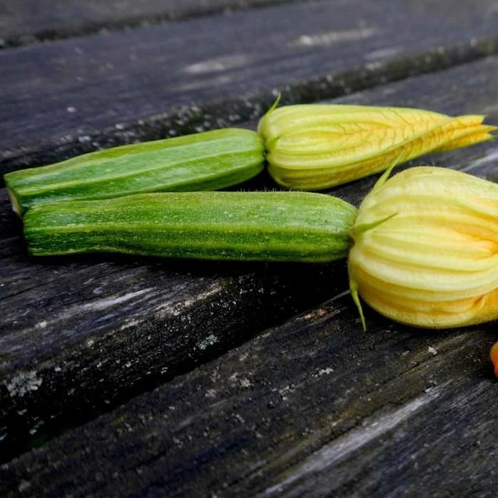 Courgette Romanesco | Approx 45 Seeds 3 Courgette Romanesco | Approx 45 Seeds
