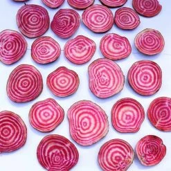 Beetroot Beetroot Of Chioggia | Approx 600 Seeds