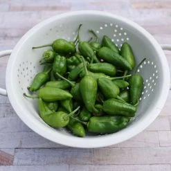Chilli Padron | Approx 150 Seeds