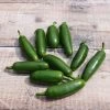 Chilli Jalapeño | Approx 75 Seeds 2 Chilli Jalapeño | Approx 75 Seeds -Plants outlet store SD30000253 5a27