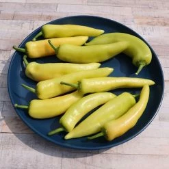 Chilli Hungarian Hot Wax | Approx 150 Seeds