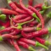 Chilli Piccante Di Cayenna | Approx 300 Seeds -Plants outlet store SD30000255 8358