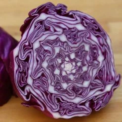 Cabbage Red Drumhead | Approx 500 Seeds