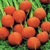 Carrot Paris Market 5 | Approx 750 Seeds -Plants outlet store SD30000357 b428
