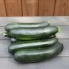 Courgette Zucchini | Approx 15 Seeds