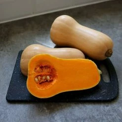 Squash Butternut | Approx 15 Seeds