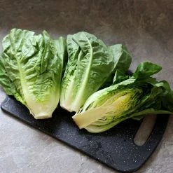 Lettuce Little Gem | Approx 1400 Seeds