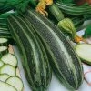Marrow Long Green Bush 4 | Approx 20 Seeds -Plants outlet store SD30000398 6c01