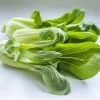 Pak Choi Joi Choi F1 | Approx 125 Seeds -Plants outlet store SD30000403 21e1