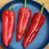 Sweet Pepper Long Red Marconi | Approx 75 Seeds