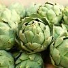 Artichoke Vert Globe | Approx 40 Seeds -Plants outlet store SD30000451 093c