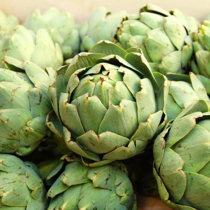 Artichoke Vert Globe | Approx 40 Seeds 3 Artichoke Vert Globe | Approx 40 Seeds