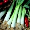 Leek Bleu De Solaise | Approx 125 Seeds 1 Leek Bleu De Solaise | Approx 125 Seeds -Plants outlet store SD30000464 eb2f