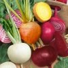 Beetroot Mixed | Approx 250 Seeds -Plants outlet store SD30000973 1564