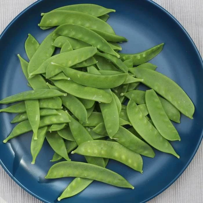 Pea Oregon Sugar Pod | Approx 250 Seeds 3 Pea Oregon Sugar Pod | Approx 250 Seeds