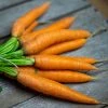Carrot Mr James Scarlet Intermediate | Approx 1000 Seeds -Plants outlet store SD30001125 69bc