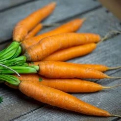 Carrot Mr James Scarlet Intermediate | Approx 1000 Seeds