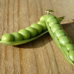Pea Alderman | Approx 300 Seeds