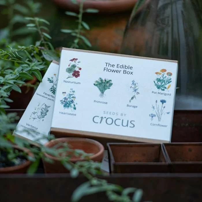 Edible Flower Collection Seed Gift Box | Gift Box 3 Edible Flower Collection Seed Gift Box | Gift Box