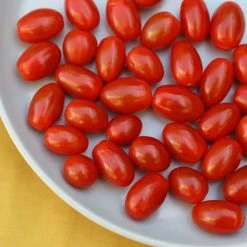 Tomato (baby Plum / Piccolo) Valido | Approx 50 Seeds