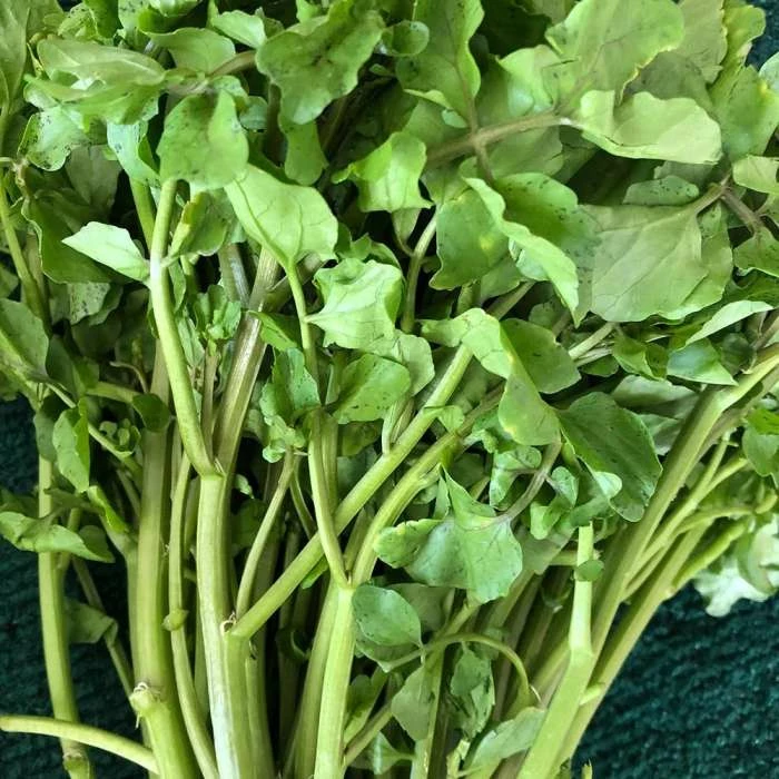 Watercress | Approx 2000 Seeds 3 Watercress | Approx 2000 Seeds