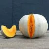Squash Crown Prince F1 | Approx 6 Seeds -Plants outlet store SD30001327 7de6