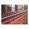 Anti Bird Spikes 1 Anti Bird Spikes -Plants outlet store SP0047 main image 6681