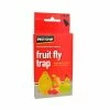 Fruit Fly Trap -Plants outlet store SP0876 main image fa91