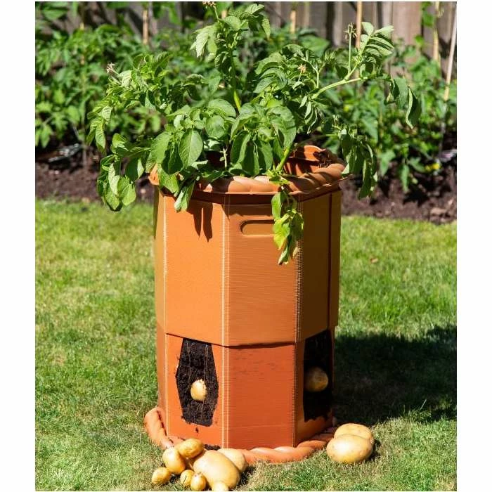 Victorian Potato Barrel - H60cm X D43cm 3 Victorian Potato Barrel - H60cm X D43cm