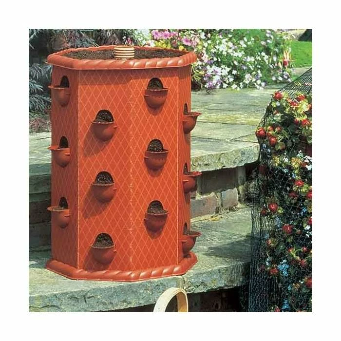 Strawberry Fruit Planter Barrel 4 Strawberry Fruit Planter Barrel - Image 2
