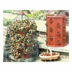 Strawberry Fruit Planter Barrel