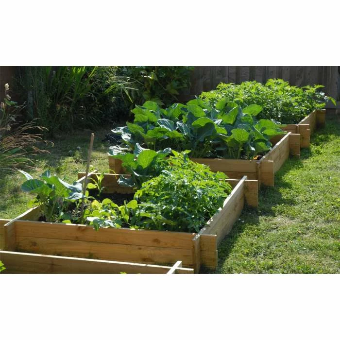 248 Litres - The Chamberlain Rectangular Wooden Raised Grow Bed By Lacewing™ - 155cm X 80cm (H20cm) 5 248 Litres - The Chamberlain Rectangular Wooden Raised Grow Bed By Lacewing™ - 155cm X 80cm (H20cm) - Image 3