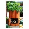 Original Wooden Potato Barrel - H60cm X D35cm By Lacewing™ -Plants outlet store TE4000A main image d0c5