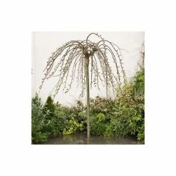 Salix Caprea 'Kilmarnock' | Weeping Willow Tree | 4L Pot | 120-150cm -Plants outlet store TR0194 add image 4 13d8