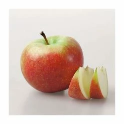 4-5ft 'Elstar' Dessert Apple Tree | MM106 Semi Vigorous Rootstock | Bare Root -Plants outlet store TR1254 add image 1 a5e2