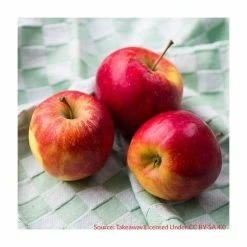 4-5ft 'Elstar' Dessert Apple Tree | MM106 Semi Vigorous Rootstock | Bare Root -Plants outlet store TR1254 add image 2 5703