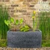W80cm 'Pond In A Pot' Trough Black Fibreglass Planter Outdoor Use 1 W80cm 'Pond In A Pot' Trough Black Fibreglass Planter Outdoor Use -Plants outlet store WF9903 main image 0126