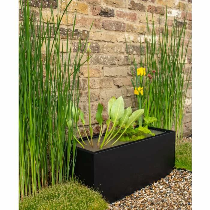 H24cm Pond-In-A-Trough Black Wildlife-Friendly Zinc Planter 6 H24cm Pond-In-A-Trough Black Wildlife-Friendly Zinc Planter - Image 4
