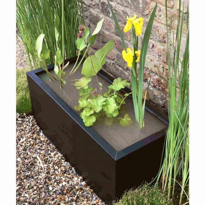 H24cm Pond-In-A-Trough Black Wildlife-Friendly Zinc Planter 8 H24cm Pond-In-A-Trough Black Wildlife-Friendly Zinc Planter - Image 6